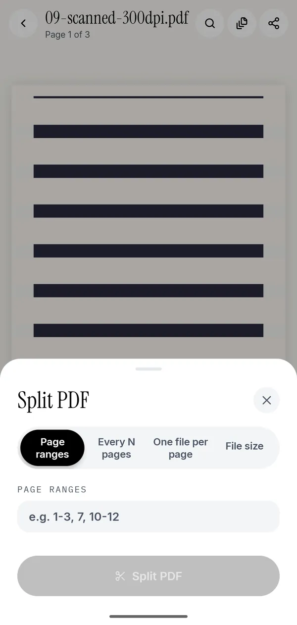 The Split PDF sheet in Kyneto PDF showing page ranges, every N pages, one file per page and file size